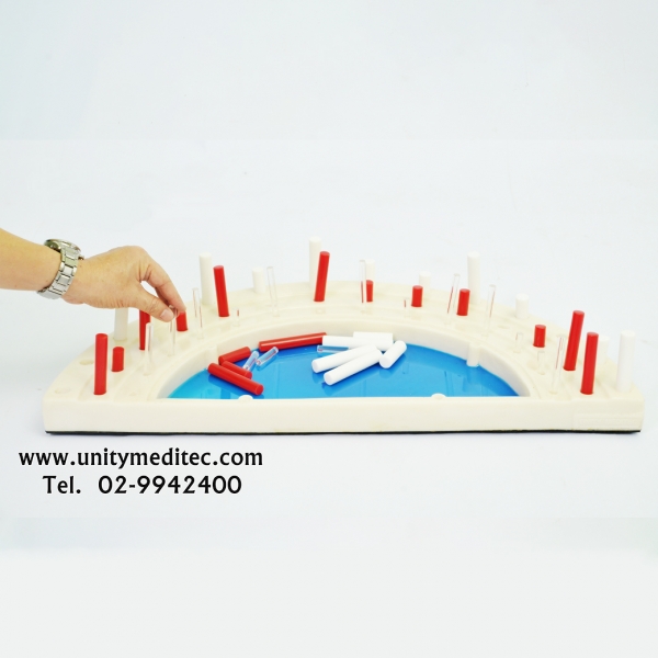 semi-circular-pegboard_a02