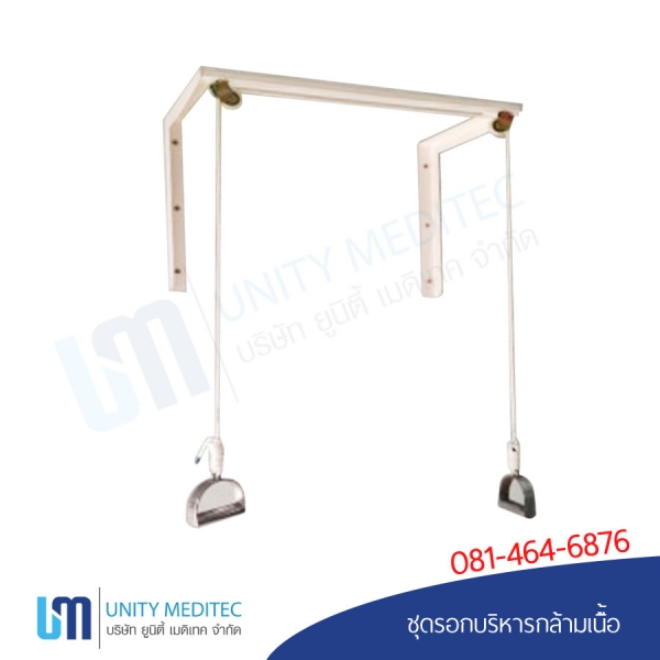 แบบลงเว็ป